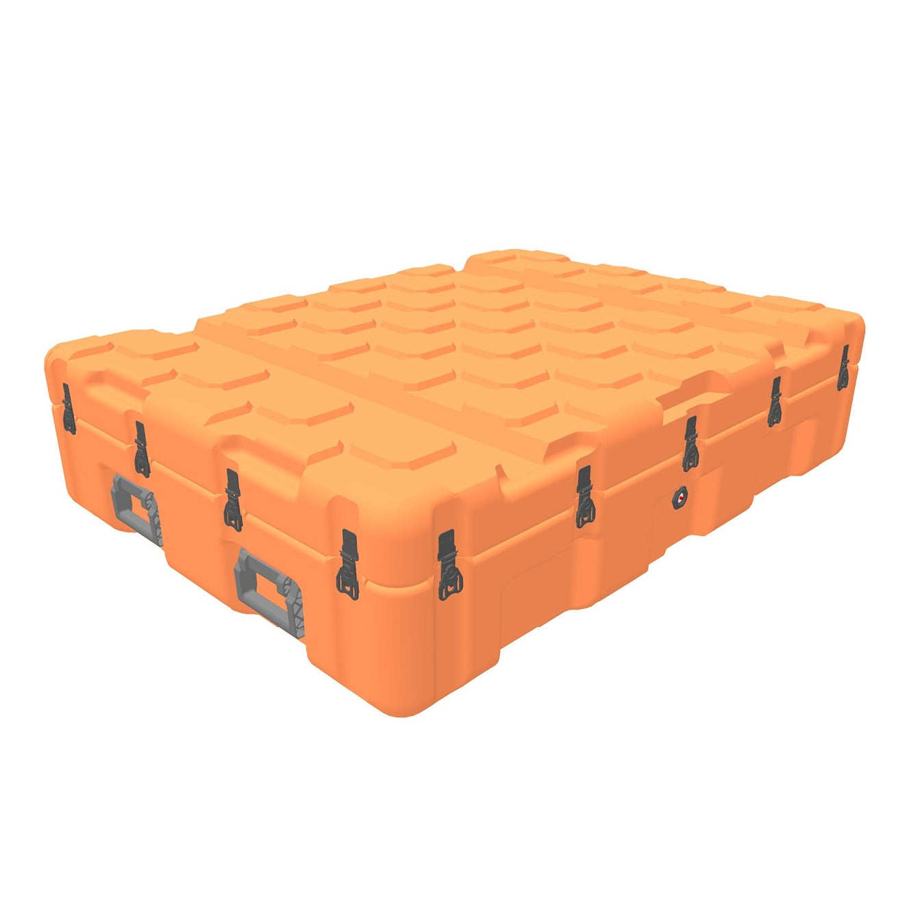 EU120090-2010ISP2Case-orange