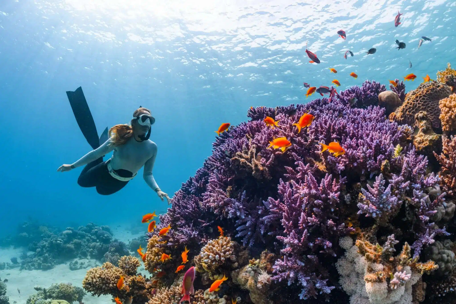11_Diving_Spots_In_Europe_Locals_Dont_Want_You_To_Know_About