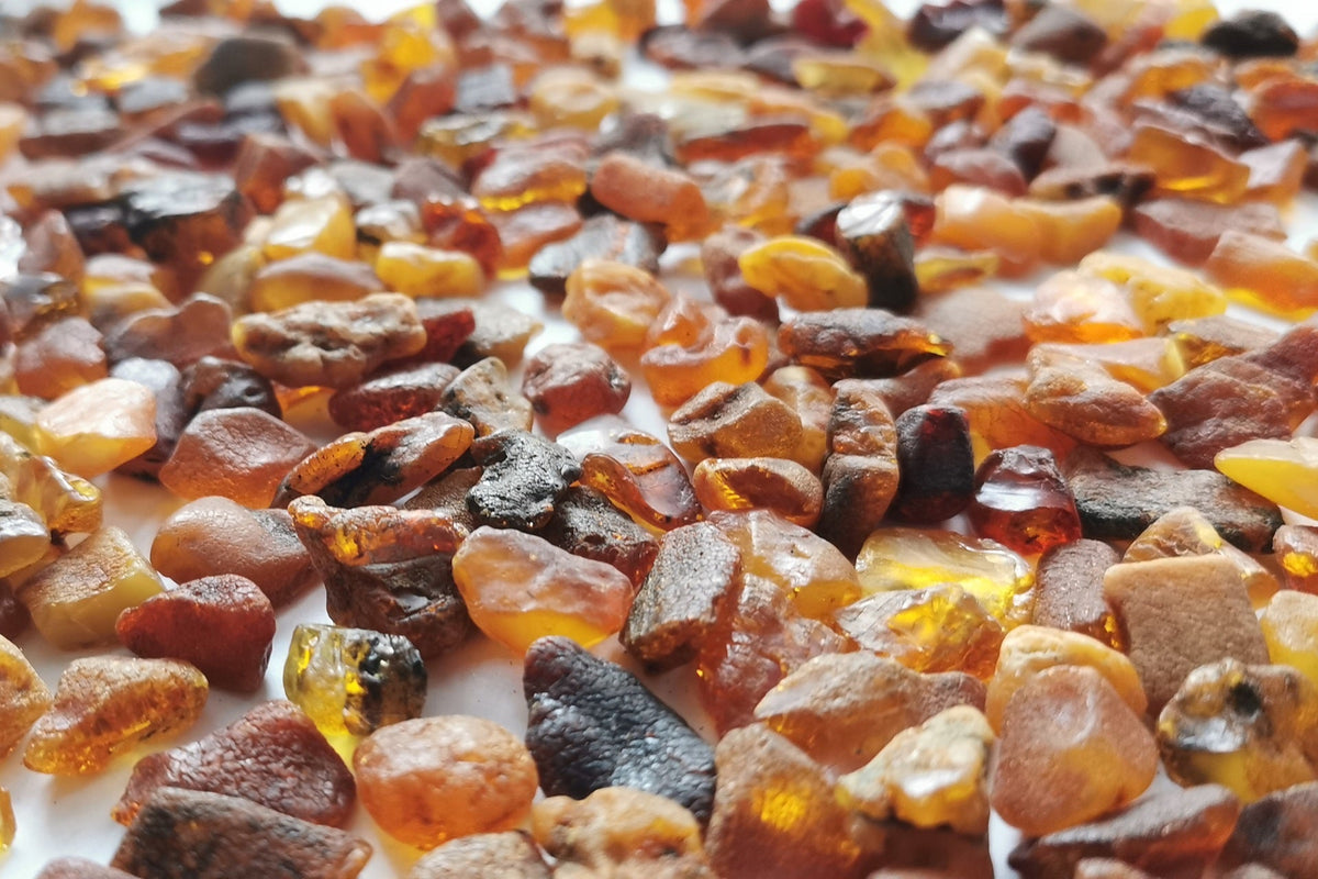 Baltic Amber searching in Poland