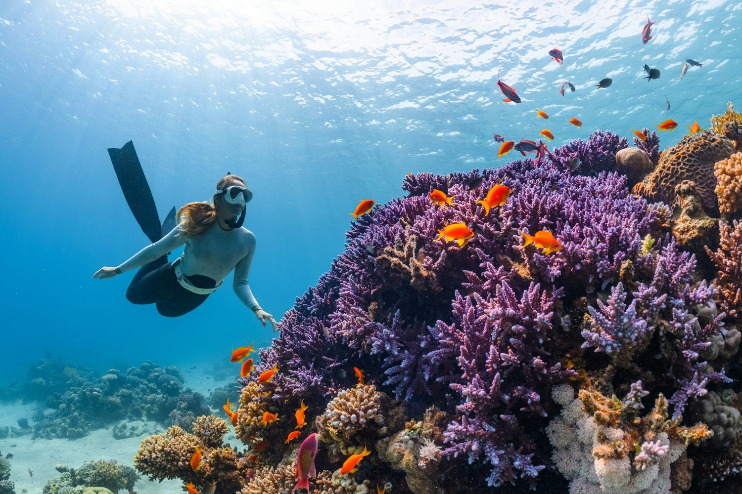 Dive_Trip_Packing_List_And_Guide
