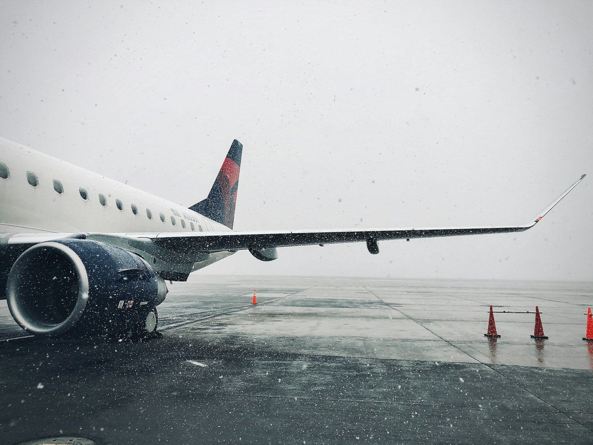 Flight Cancelled by Snow 10 Things to Do in the First Hour 2026 27