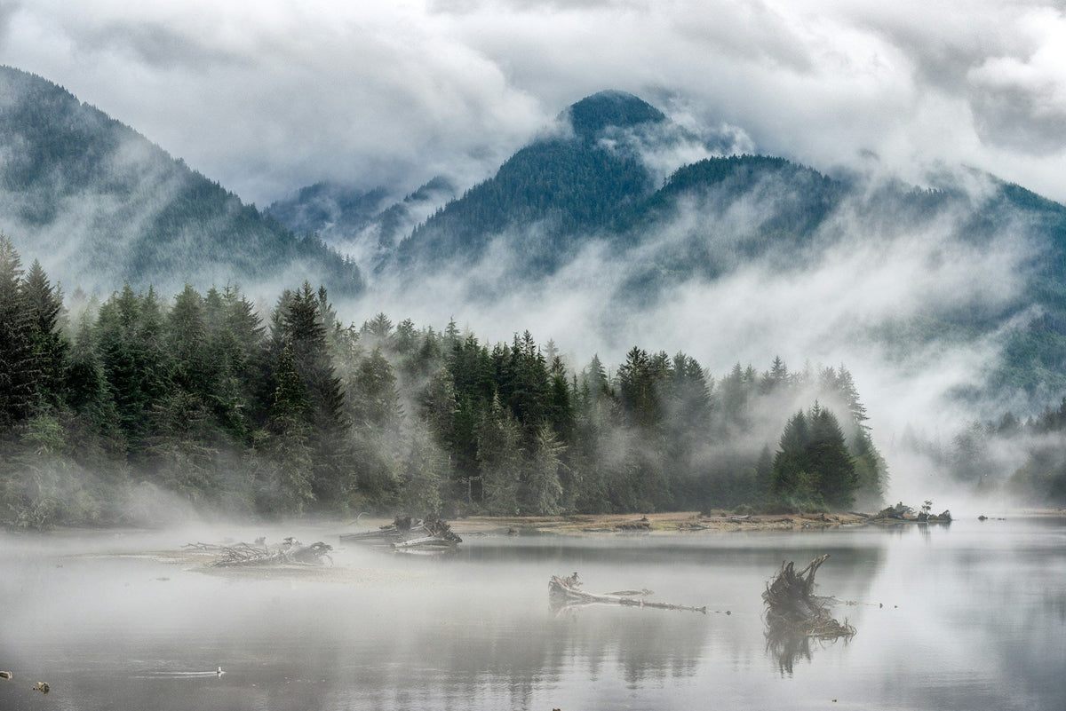 How to Photograph Fog 17 Techniques for Misty Mornings Settings and Gear Care