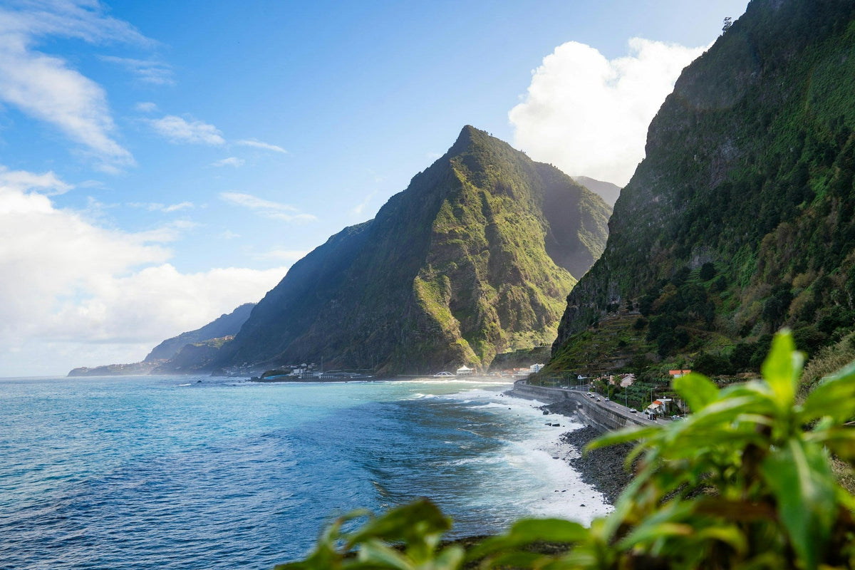 Madeira or the Canary Islands 11 Differences to Know Before You Book Winter Sun