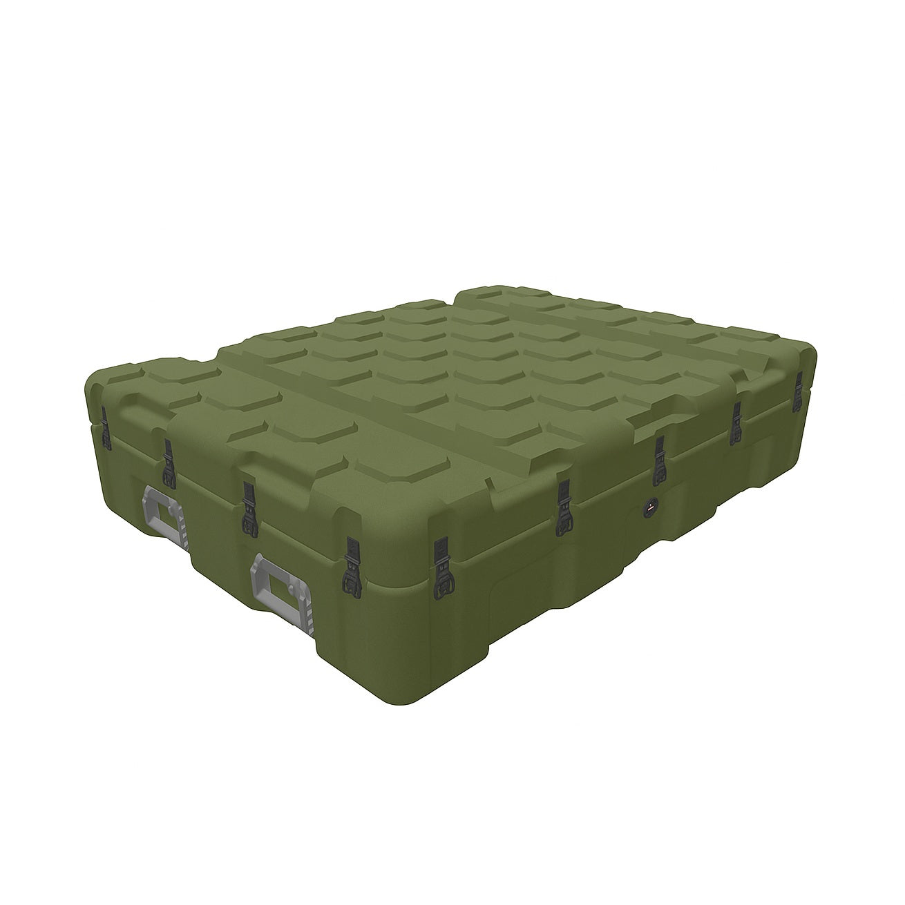 EU120090-2010ISP2Case-green
