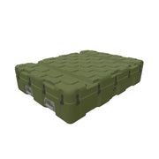 EU120090-2010ISP2Case-green