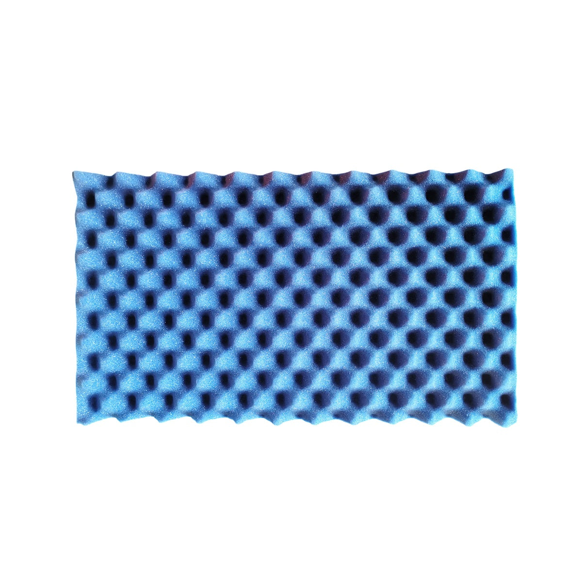 Peli_Lid_Foam_Blue_for_1615